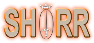 LifeSports Inc logo